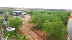 Didim Yalıköy'de Satılık Tarla, Bağ, Bahçe