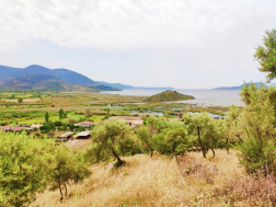 Milas Gölyaka'da Göl Manzaralı Satılık Zeytinlik 4600 m²