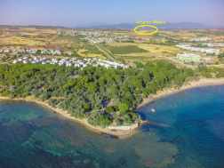 Didim Yalıköy'de Satılık Tarla, Zeytin Ağaçlı ve Tek Katlı Ev